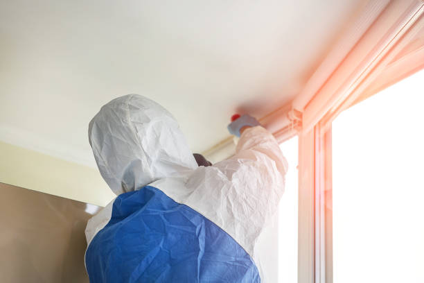 Best Commercial Mold Inspection in Nixon, PA